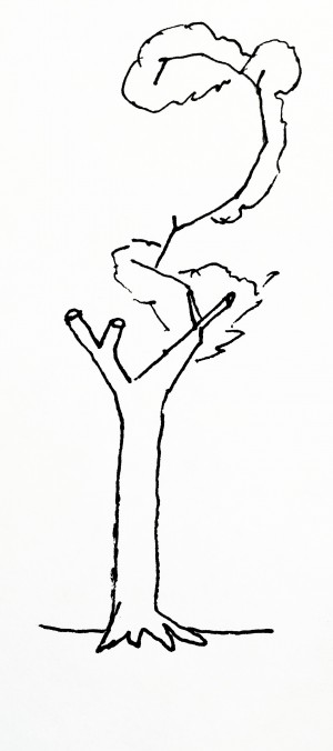 5b45e3f01da3d8435a028de284644f33_thumb.jpeg